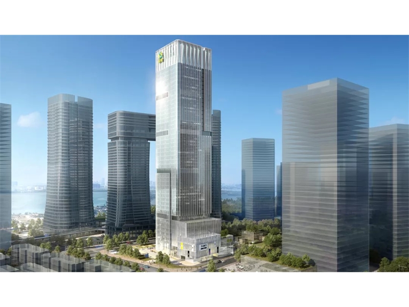 金圆大厦进入主体工程建设阶段！以高水平项目建设推动高质量发展